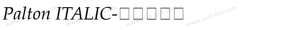 Palton ITALIC字体转换